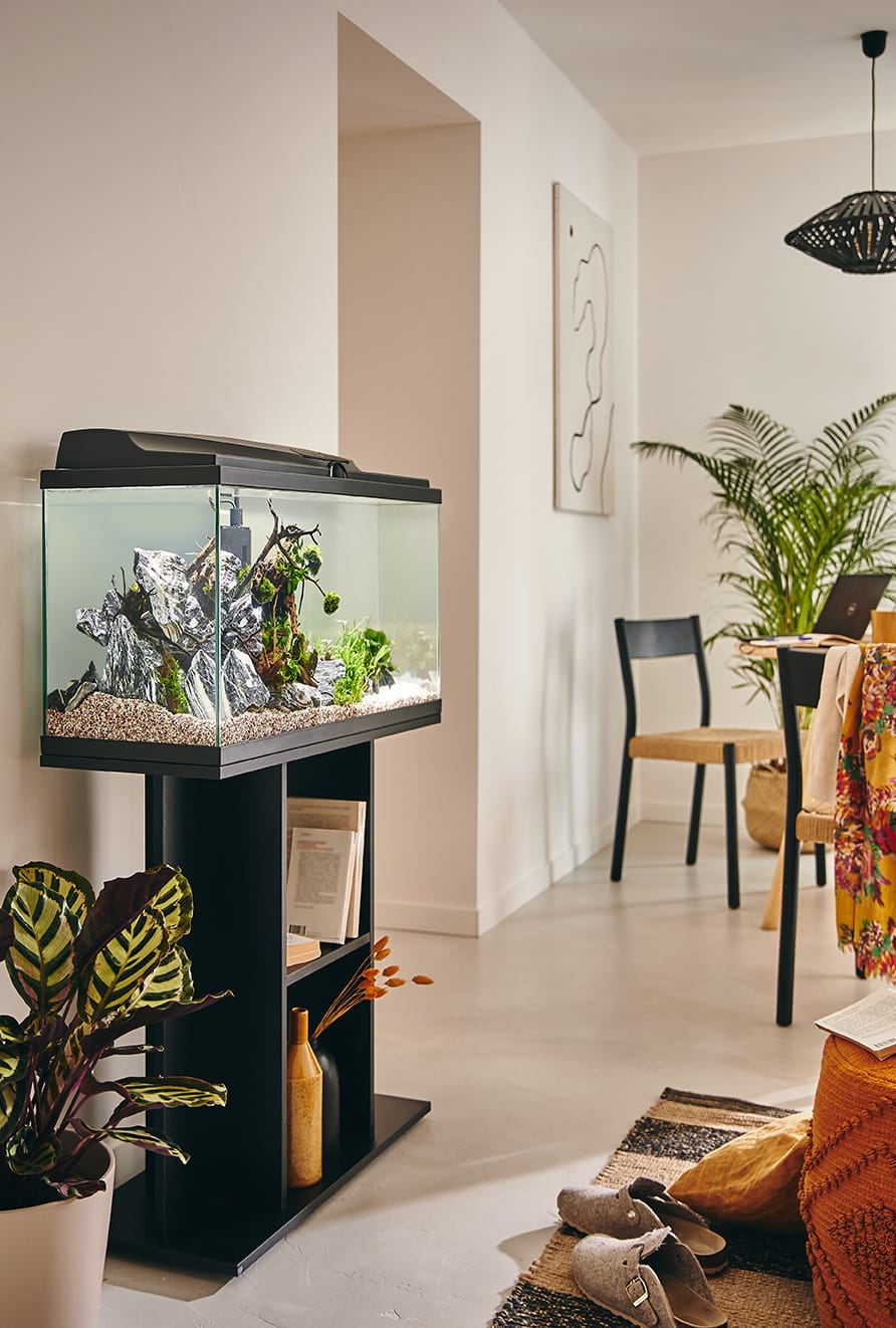 Aquarium pour poisson Tropical 80 noir 74 L - Pure Family