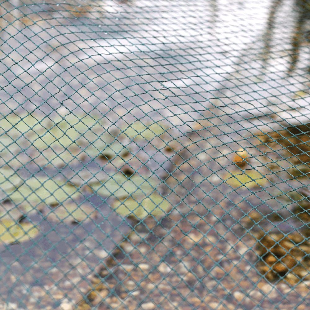 Filet de bassin 2 m x 5 m Vert filet d'étang à poisson, filet à feuilles,  filet, filet de protection contre les oiseaux, robuste