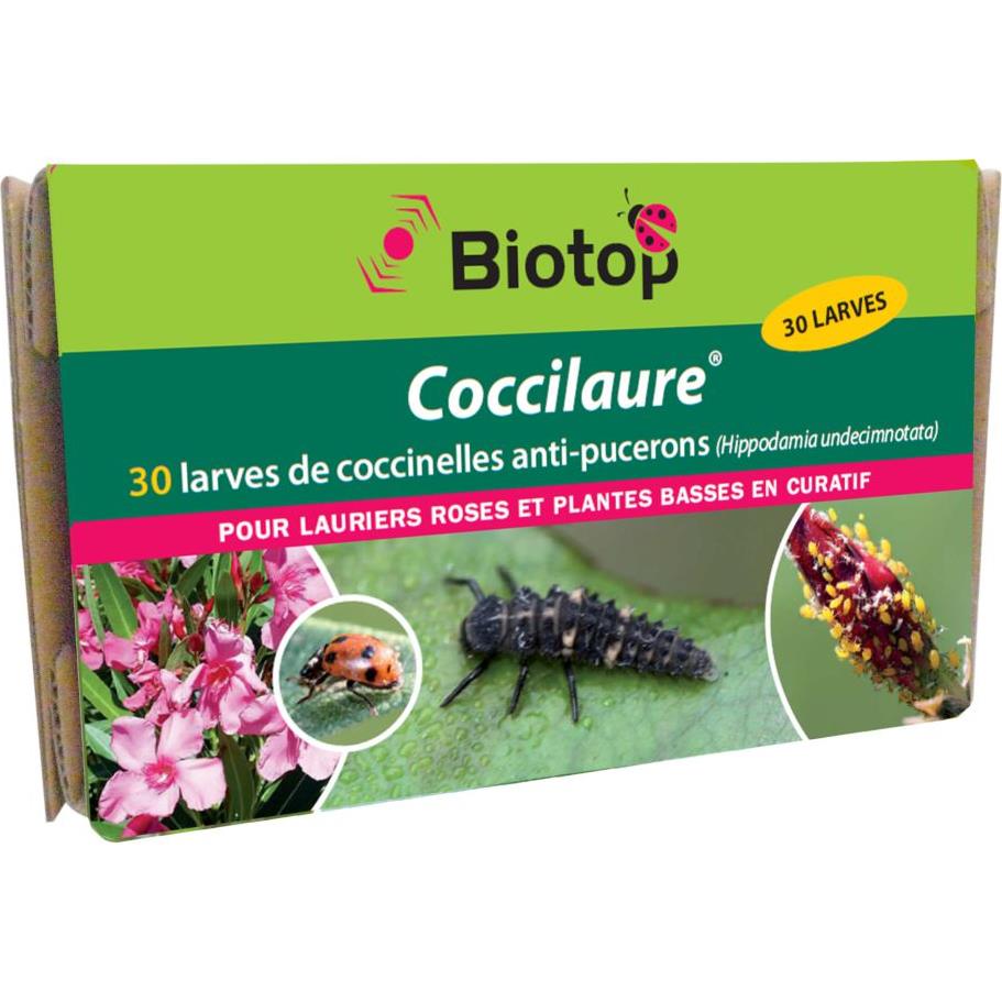 Biotop Coccinelles larves Coccilaure anti pucerons x30 Vivapack