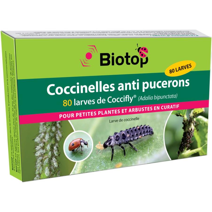 Biotop Coccinelles larves Coccifly anti pucerons x80 Vivapack