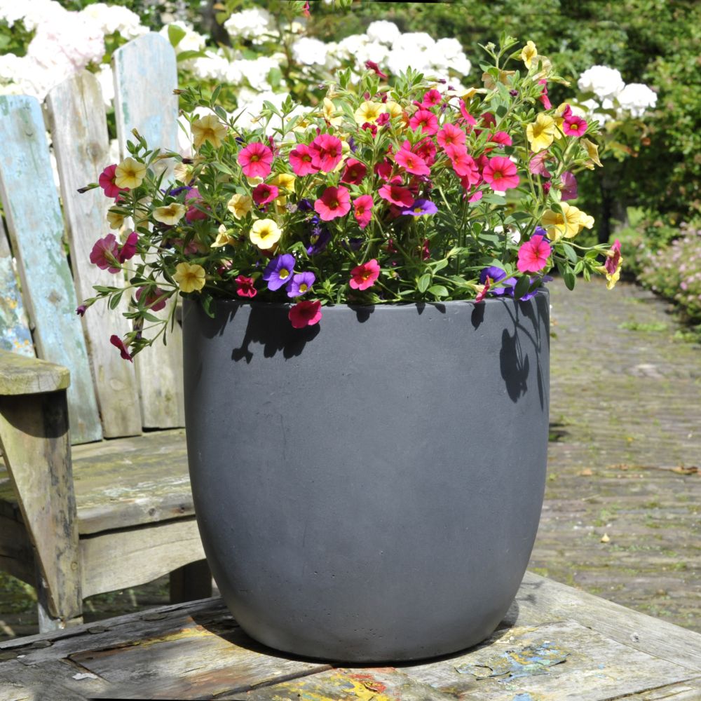 10 fleurs d'été pour pots et jardinières en plein soleil - Jardiland