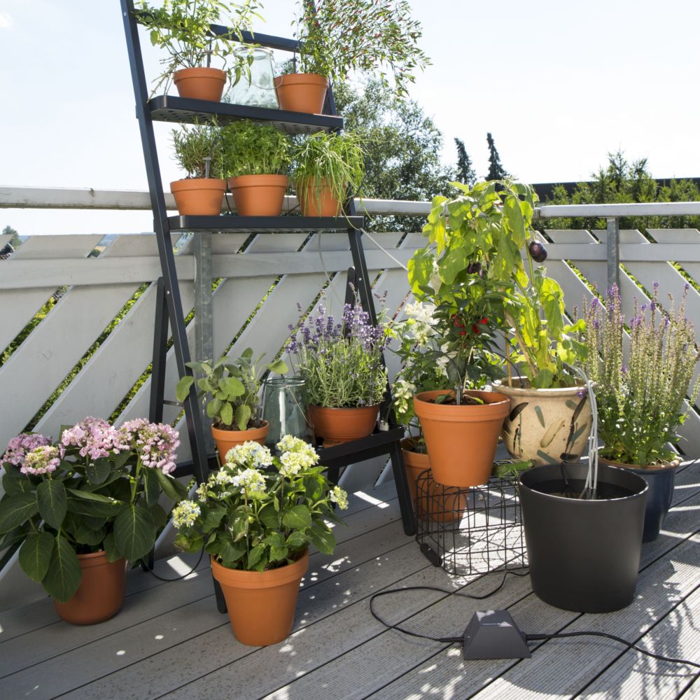 Arrosage automatique balcon : 6 systèmes pour vos plantes