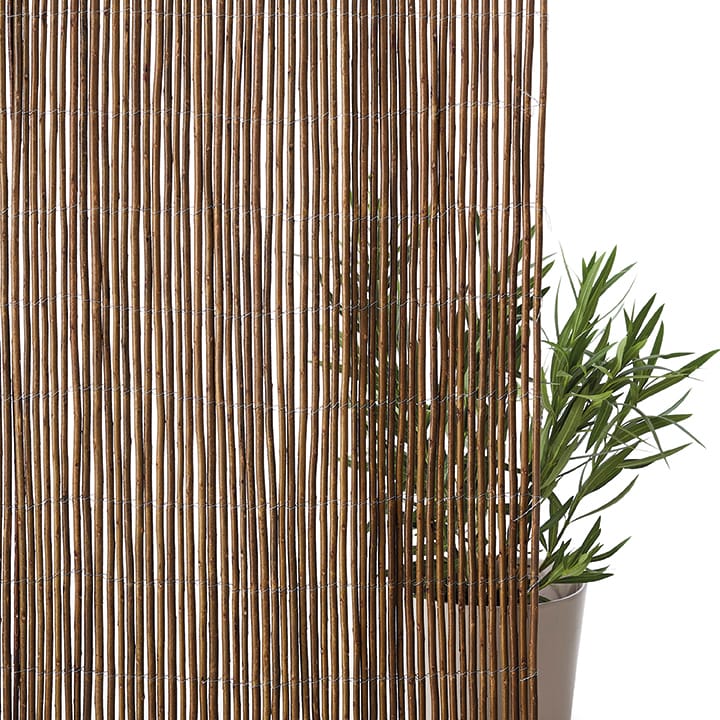 Canisse en Osier 1,5 x 3 m - Ecloz