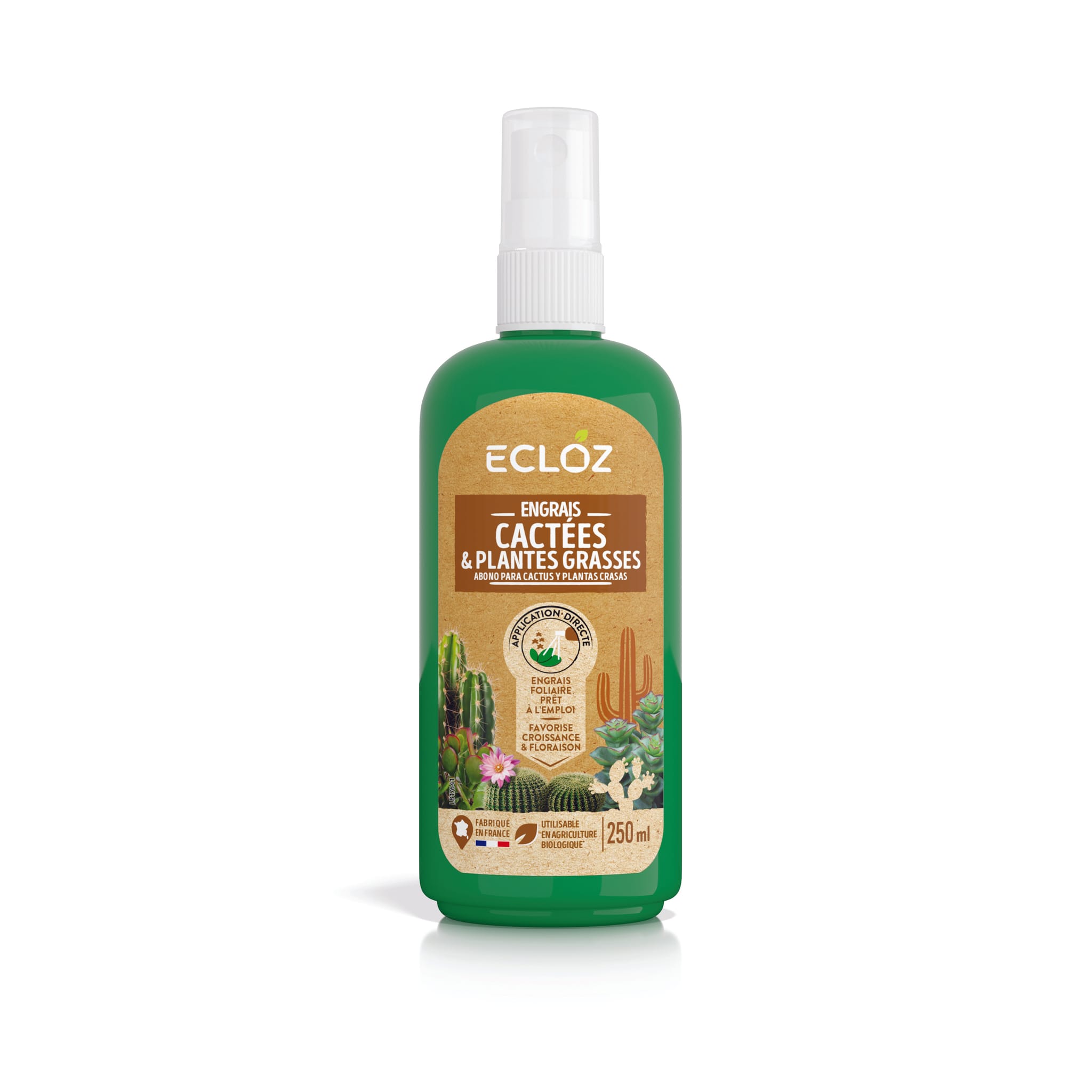 Engrais pour cactées et plantes grasses spray 250ml - ECLOZ