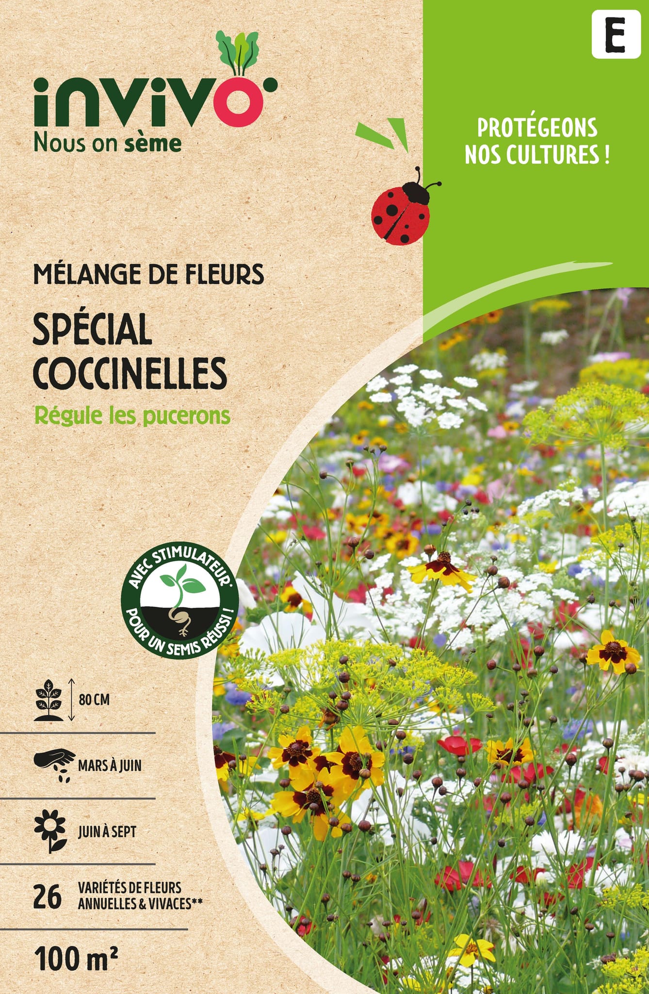 Semences mélange de fleurs spécial coccinelles 100 m2 - INVIVO Nous on sème
