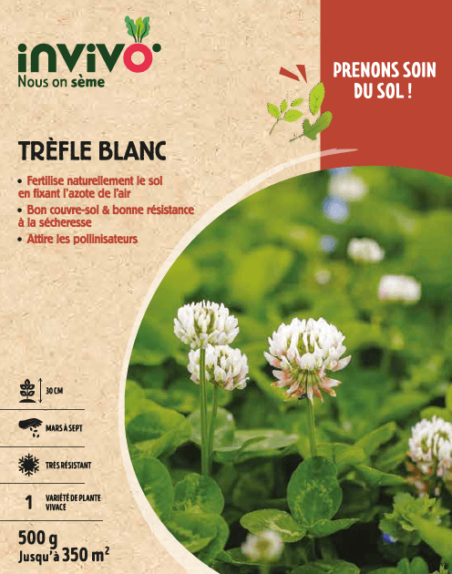 Semences de trèfle blanc 500 g - INVIVO Nous on sème