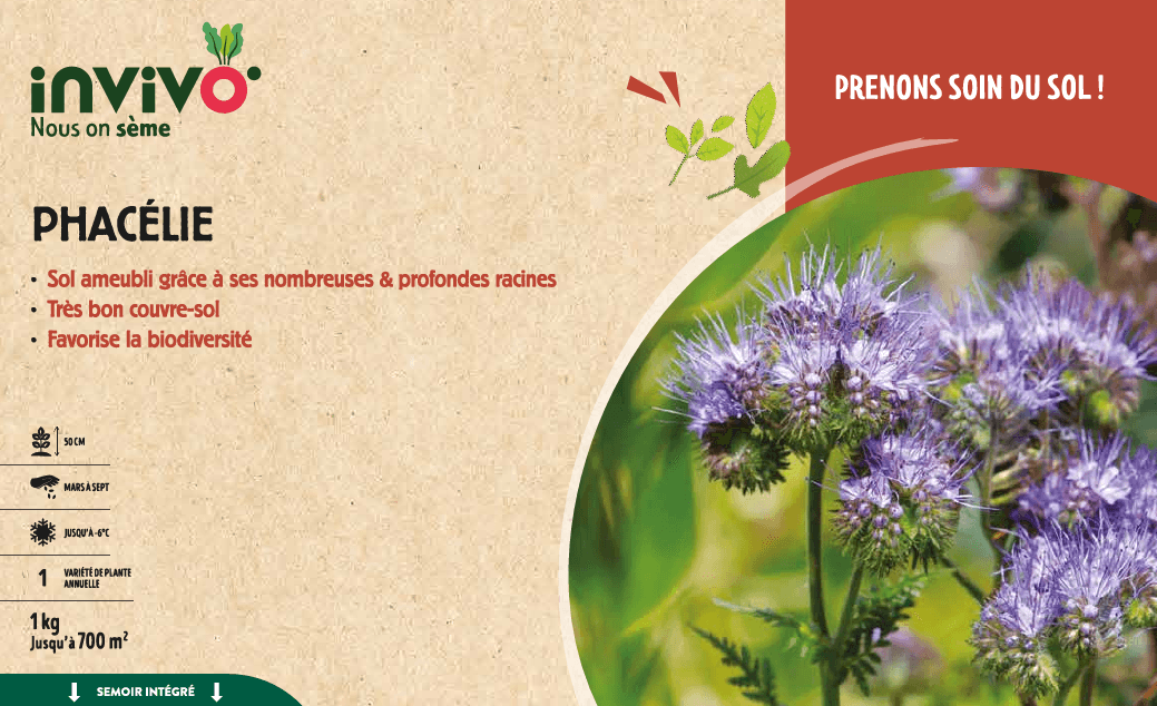 Semences de phacélie 1 kg - INVIVO Nous on sème
