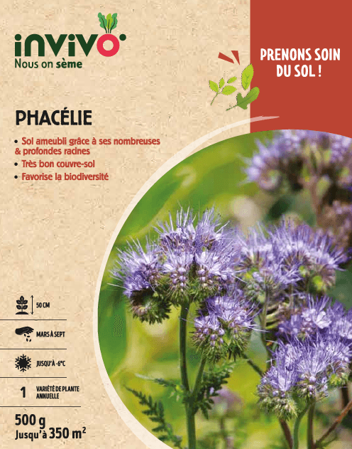 Semences de phacélie 500 g - INVIVO Nous on sème