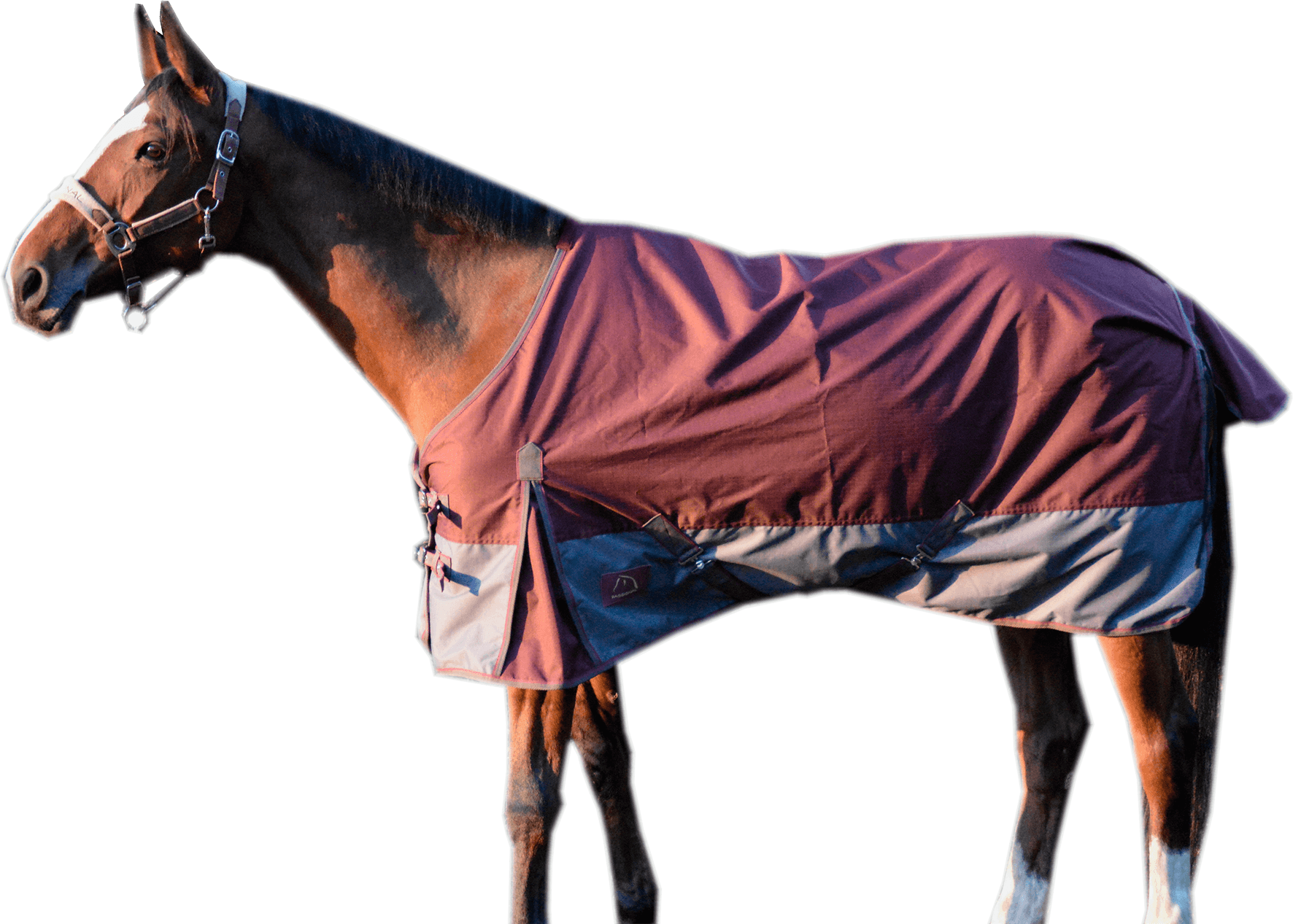 Chemise imperméable 145 cm - Bordeaux - En Sac Zippé - LACMÉ