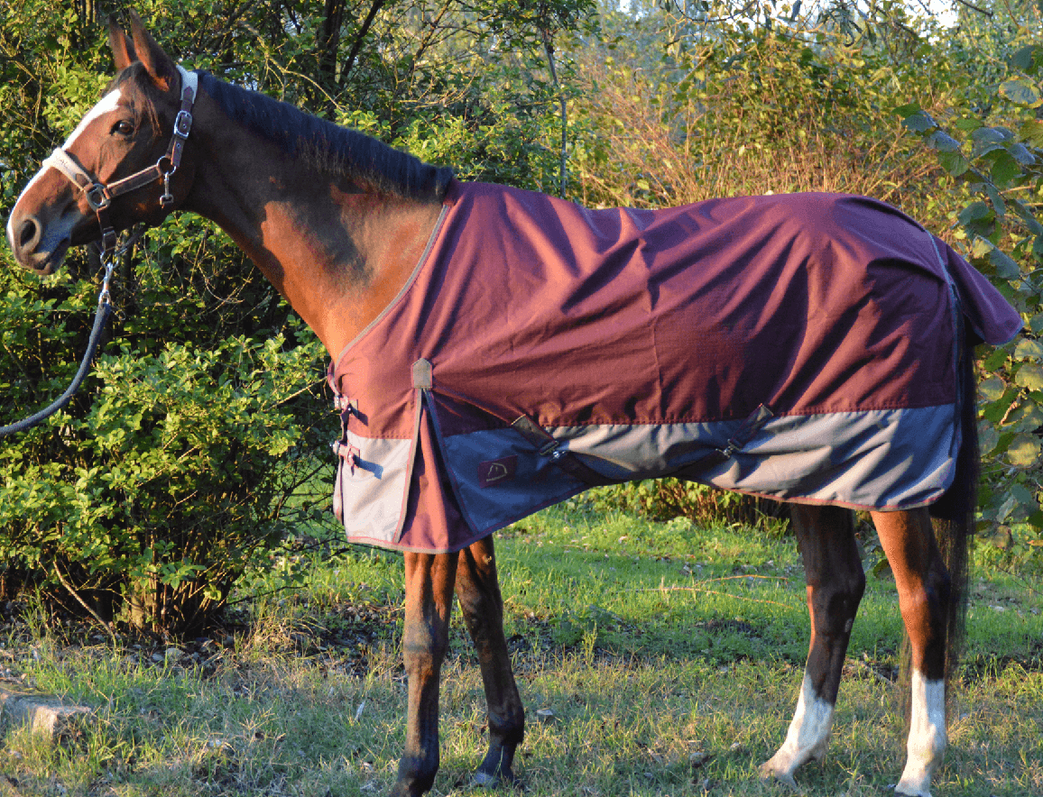 Chemise imperméable 155 cm - Bordeaux - En Sac Zippé - LACMÉ